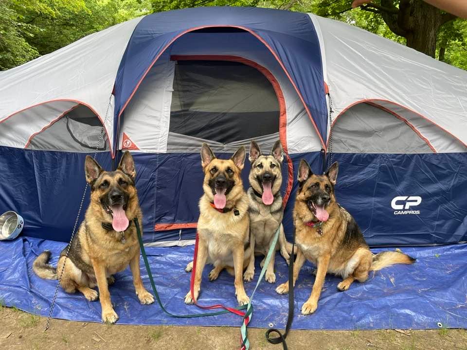 Planning the Perfect Camping Adventure: Expert Tips, Tricks, and Must-Know Insights