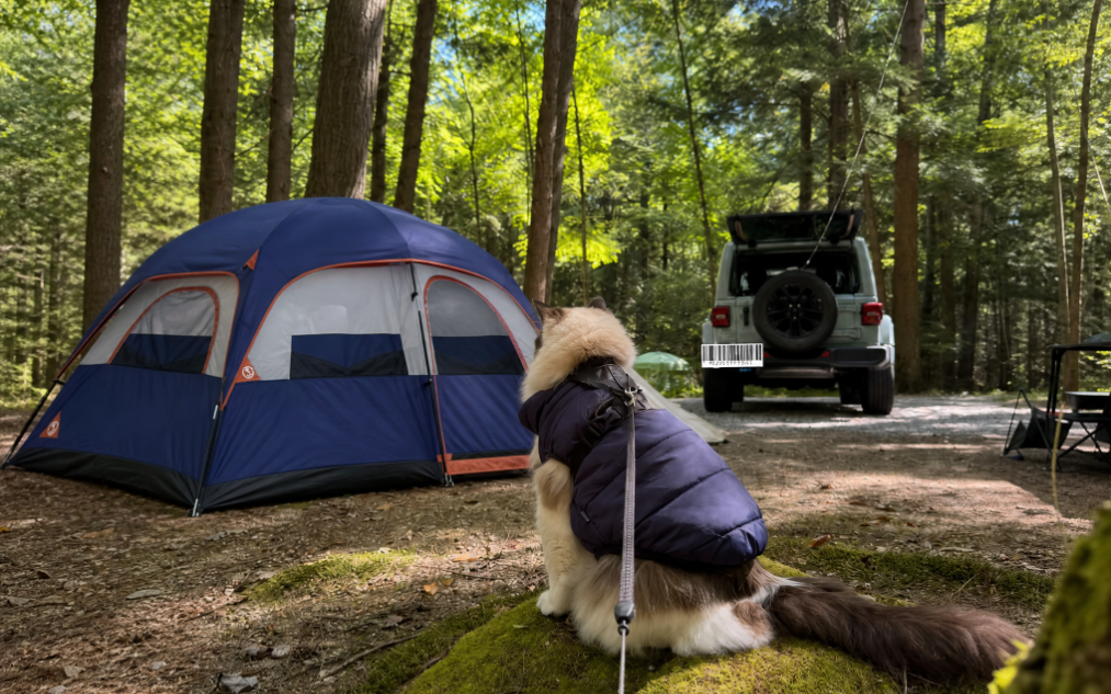 Ultimate Camping Tips for Outdoor Enthusiasts: A Campros CP Guide ⛺