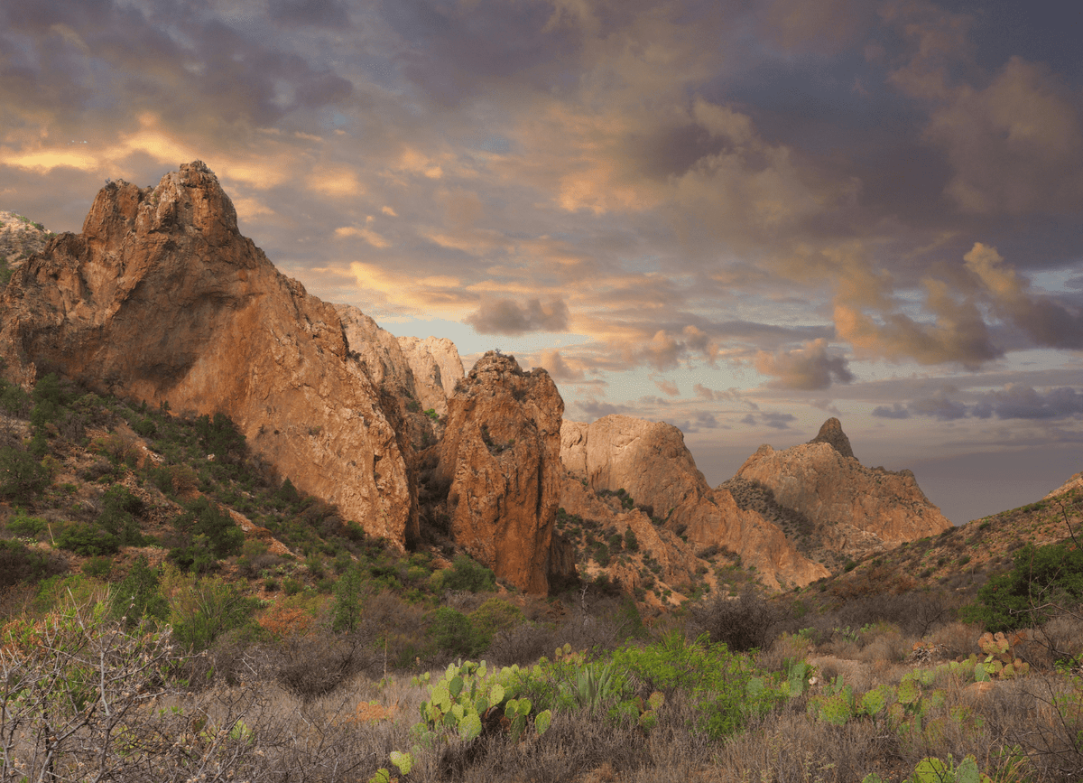 Chisos Basin, Big Bend National Park, Texas - CAMPROS CP