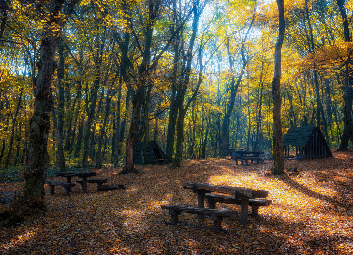 Little Harbor Campground on Catalina Island, California - CAMPROS CP