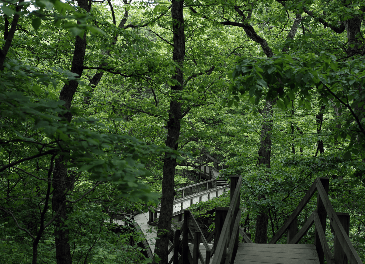 Starved Rock State Park Campground, Illinois - CAMPROS CP
